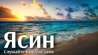 СУРА ЯСИН СЛУШАЙТЕ КАЖДЫЙ ДЕНЬЧтец суры Корана Исмаил каары,