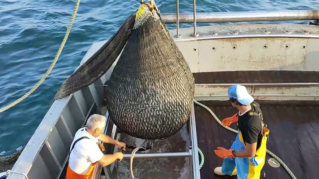 PESCA VOLANTE A CESENATICO, MIGLIORARLA E RENDERLA SELETTIVA CON SENSORE MARPORT TRIDENT