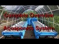 COMPLETE OVERVIEW - Aquaponics System and Greenhouse Build