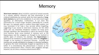 V28 Brain integrative functions
