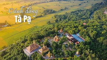 Cánh đồng Tà Pạ tuyệt đẹp