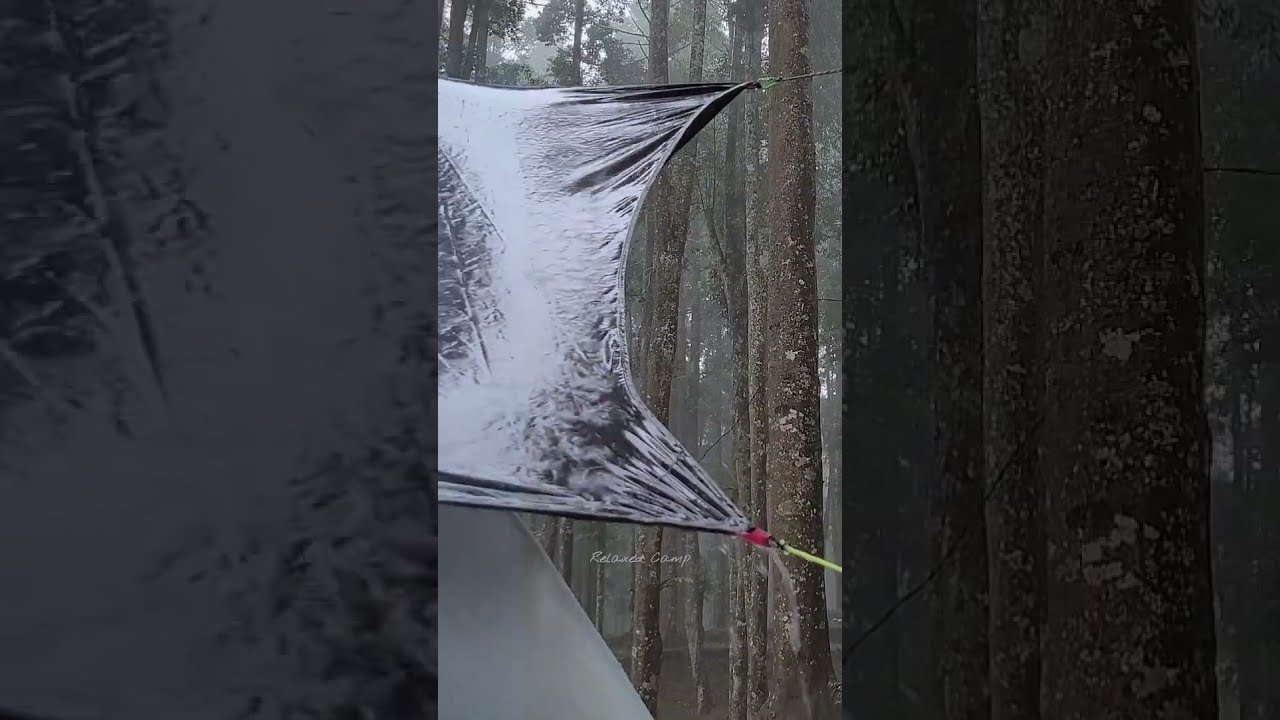 Enjoying Heavy Rain Inside The Tent Solo Camping In Sounds ASMR Campinginheavyrain Shorts