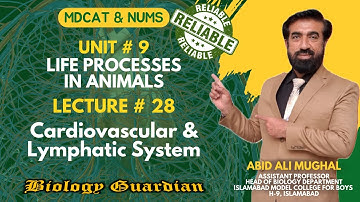 Lecture 28 MDCAT 2022 Biology Preparation Series Cardiovascular & Lymphatic System | Part-1 PMC/NUMS