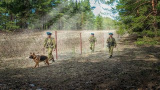 Пограничная полоса  #Погранзастава #Автомат #ЗелёнаяФуражка