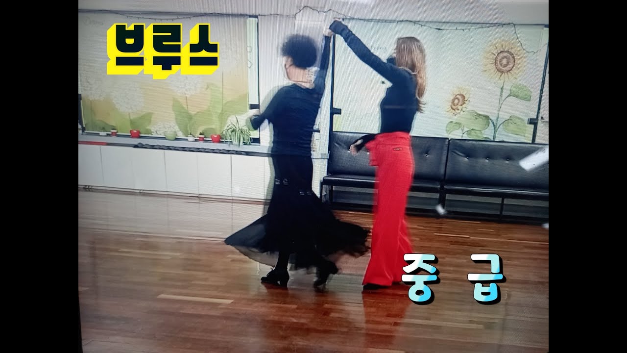 8.  브루스(중급)