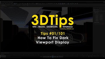 3DTips #01/101- How To Fix Dark Viewport Display