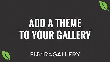 How to Add a Theme your WordPress Gallery by using Envira Gallery
