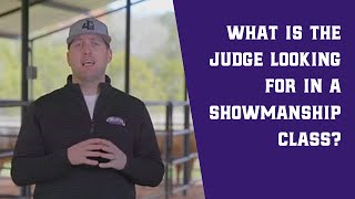 What is the Judge Looking for in Showmanship?