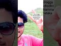 Shivmogga Kodachadhri vlog,Namma Karnataka #karnataka #shivamogga #kodachadri