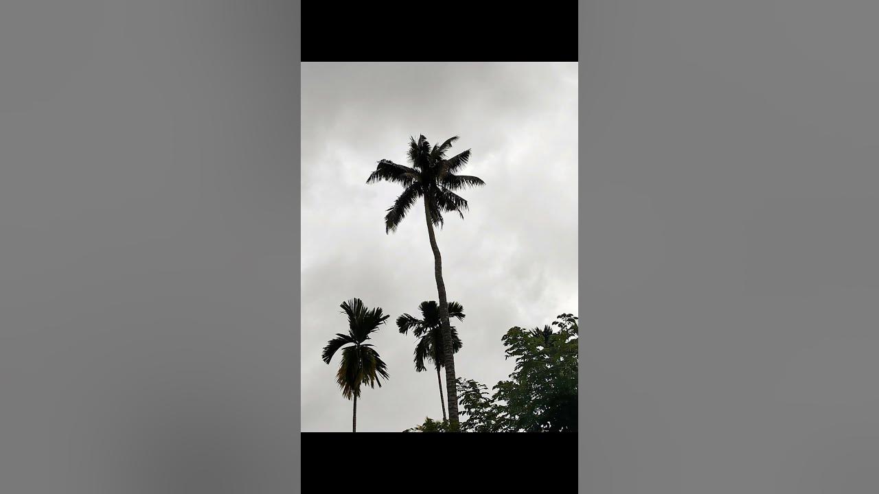 Camera Test redmi135g CameraGame Tester Mallu YouTube