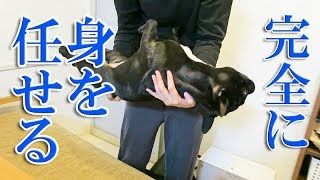 安心しきって脱力しすぎの犬を運ぶとこうなる