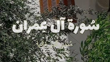 ما تيسر من سورة آل عمران | للقارئ منذر أبو غالية | #قرآن #عبدالله_التواتي .