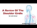 Shoulder Girdle Review Quiz