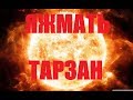 ЯЖМАТЬ ТАРЗАН