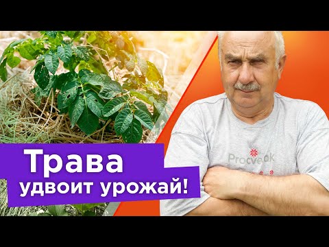 ВЫ БОЛЬШЕ НИКОГДА НЕ БУДЕТЕ ВЫБРАСЫВАТЬ СКОШЕННУЮ ТРАВУ ПОСЛЕ ПРОСМОТРА ЭТОГО ВИДЕО!