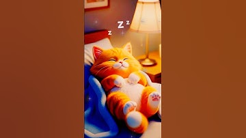 "Lazy Cat vs Alarm Clock #Cat#LazyCat#FunnyCat#