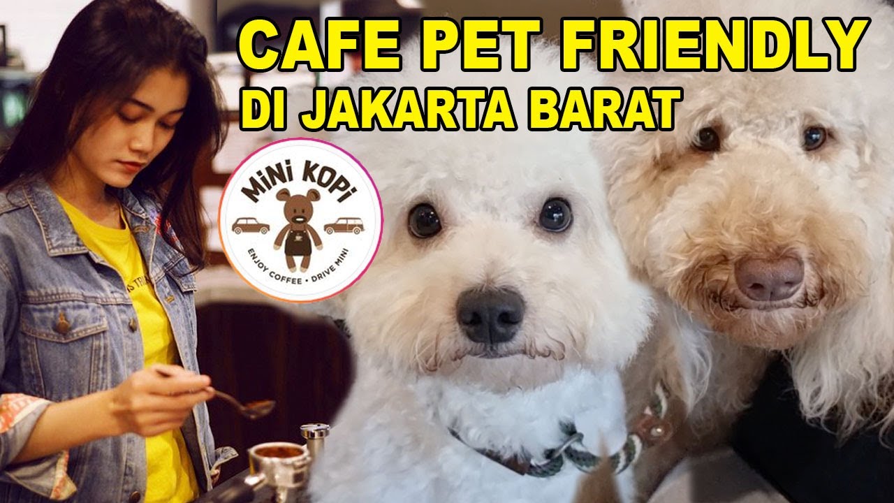 CAFE PET FRIENDLY DI JAKARTA BARAT