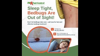 Sleep Peacefully Again – Bedbug Experts You Can Trust! #shorts
