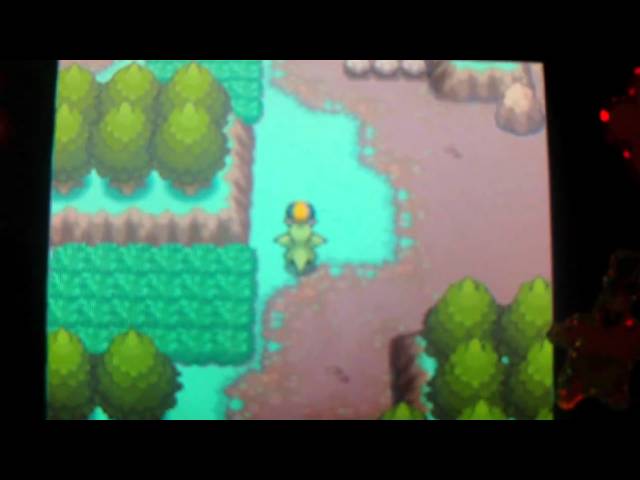 Pokemon Soul Silver Walkthrough Bonus #03: Safari Zone, Second