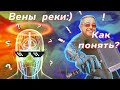 Вены. Система верхней полой вены. Как понять за 20 минут?