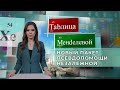 США продолжают подпитывать украинский конфликт поставками оружия. Таблица Менделевой. Панорама