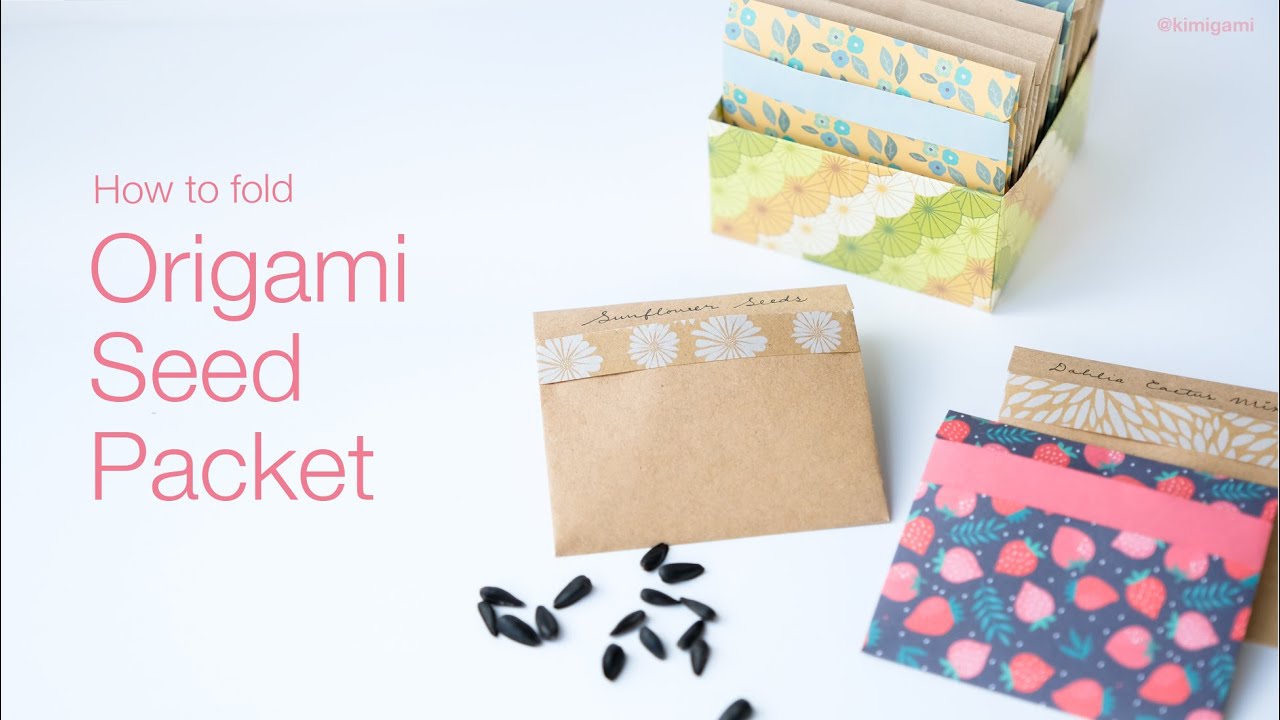 How to fold Origami Seed Packet and Masu box 