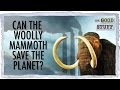 Can Bringing Back the Woolly Mammoth Save the Planet??
