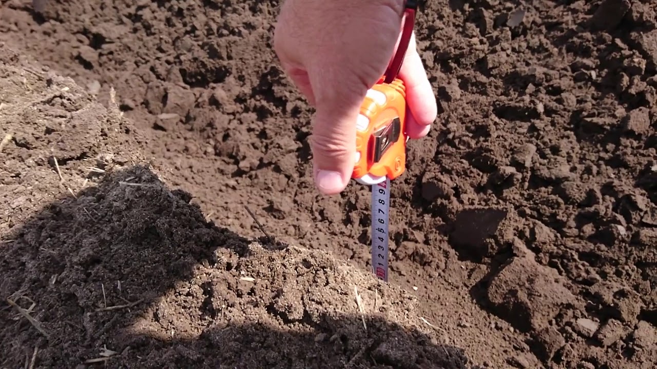 #YTO_X1204 с ПОН_3.35+1 Пахота после дождя