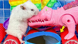 😱 Hamster Escape Crocodile Ball Pool Maze   Hamster Cute pets Maze