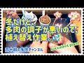 【多肉植物】【ガーデニング】🥶多肉の調子が悪いので、植え替え作業。💦
