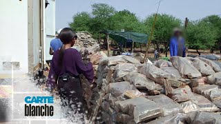 [FROM THE ARCHIVES] Illegal Wood Poachers | Carte Blanche | M-Net