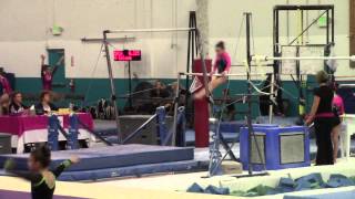 Abo Level 5 Bars 8 Years Old Crash