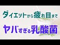 整腸剤、乳酸菌、腸活　本当に理解している？【薬剤師が解説】
