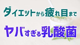 整腸剤、乳酸菌、腸活　本当に理解している？【薬剤師が解説】