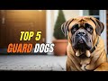 TOP 5 GUARD Dog Breeds For Families