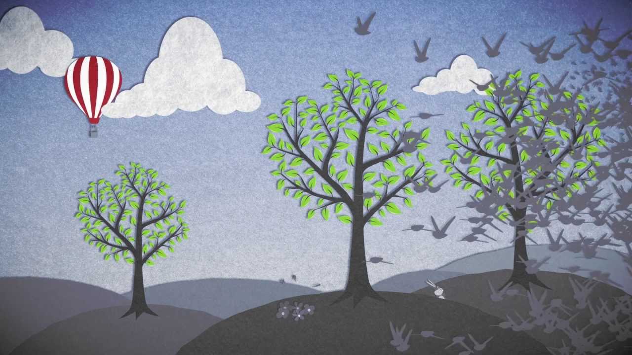 Flock Associates Video