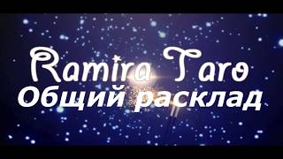 ОТНОШЕНИЕ СВЕКРОВИ К ВАМ ОТНОШЕНИЕ СВЕКРОВИ К ВАМ