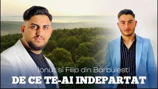 Filip din Barbulesti și Ionuț Răducanu - DE CE TE-AI ÎNDEPĂRTAT [Official Video] 2023