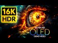 WOW 2025 Brings 16K HDR In STUNNING Dolby Vision On OLED 