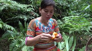 Ethnic Girl Survival Alone in The Green Forest - Meet Forest People in The Amazon