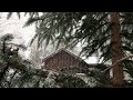 OUR HOME IN THE WOODS  - Snowed in: Cabin Life, Winter Hike & Romance