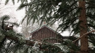 OUR HOME IN THE WOODS  - Snowed in: Cabin Life, Winter Hike & Romance