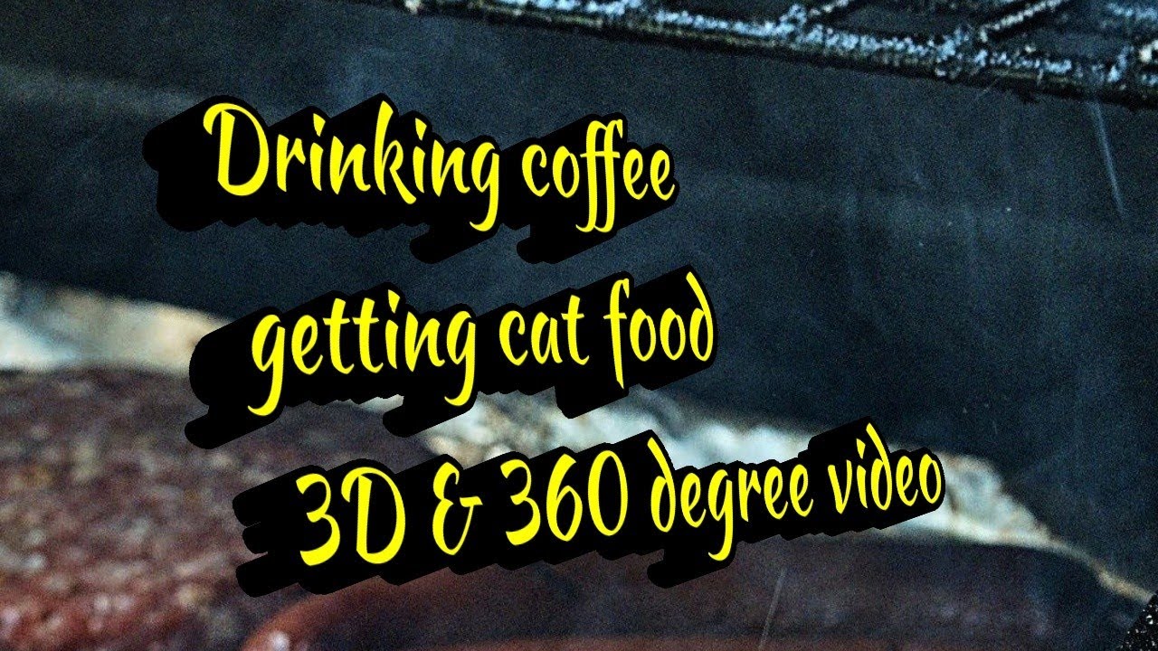 Drink coffee l get cat food l 360 l 4 faces 1 3D l YouTube Movie Maker