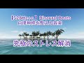 【528Hz+α 】Binaural Beats 自律神経を整える音楽 睡眠改善 ストレス緩和