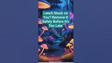 Leech Stuck on You? Remove It Safely. #shorts