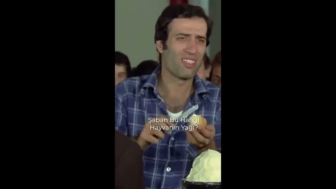 Seth vs albatroz (8vs16)