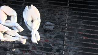 how to cook great tasting frog legs on the grill how to cook great tasting frog legs on the grill
