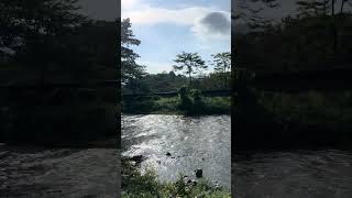Morning River view - #relaxation #travel #riverflow #riversounds #n-stay
