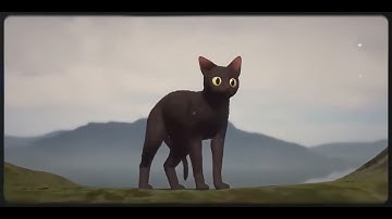FLOW | – The Oscar Winning Animated Masterpiece That Took the World by Storm | 2024