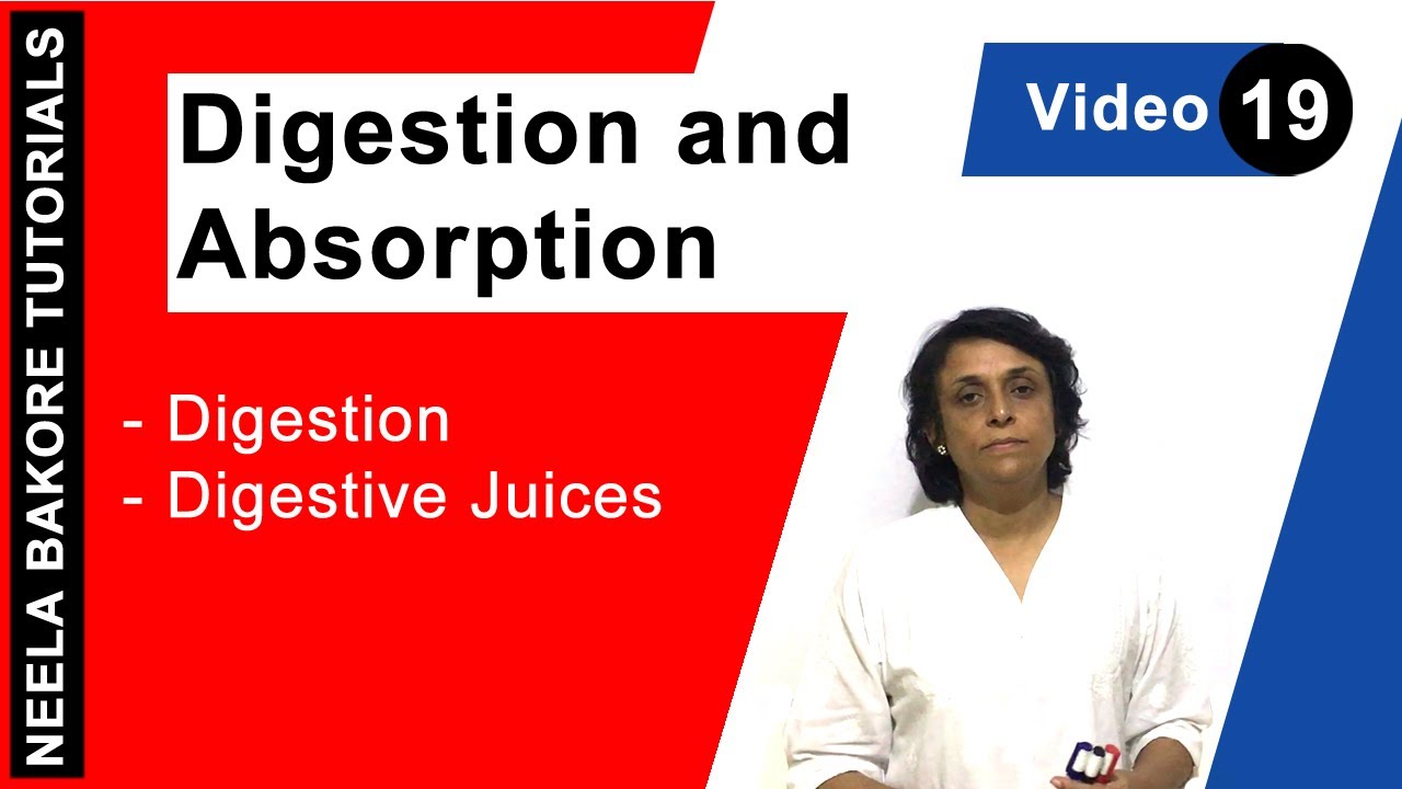 Digestion and Absorption - Digestion - Digestive Juices aiims result 2019